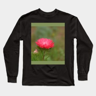 fall red daisy flower in the garden Long Sleeve T-Shirt